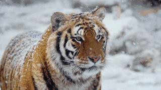 尖叫!包吃包住包玩,2天1夜邀你免费畅玩华南第一湖!