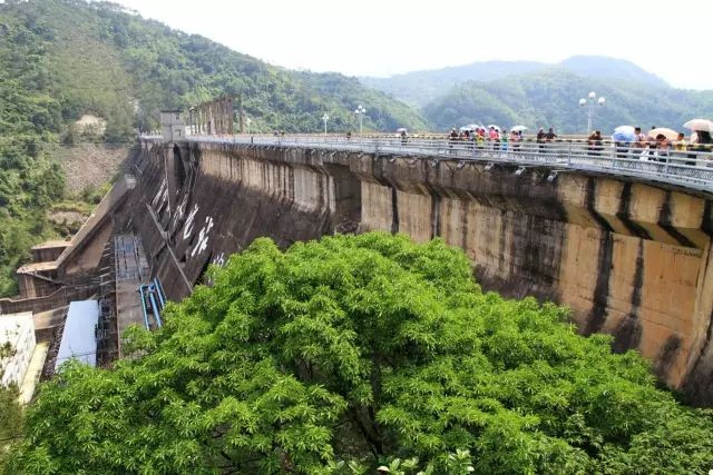 尖叫!包吃包住包玩,2天1夜邀你免费畅玩华南第一湖!