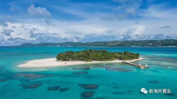 金立董事长被曝赌博输百亿,金立老板赌博到底输了多少