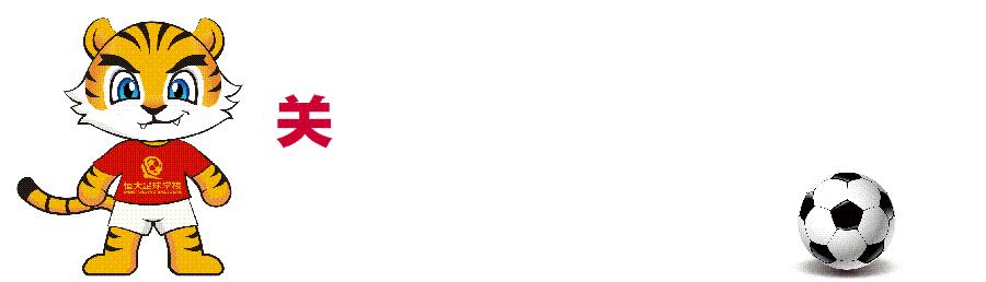 恒大足校05梯队赴西班牙,广州恒大足校训练视频