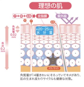 化妆水要不要用化妆棉,化妆水要不要用