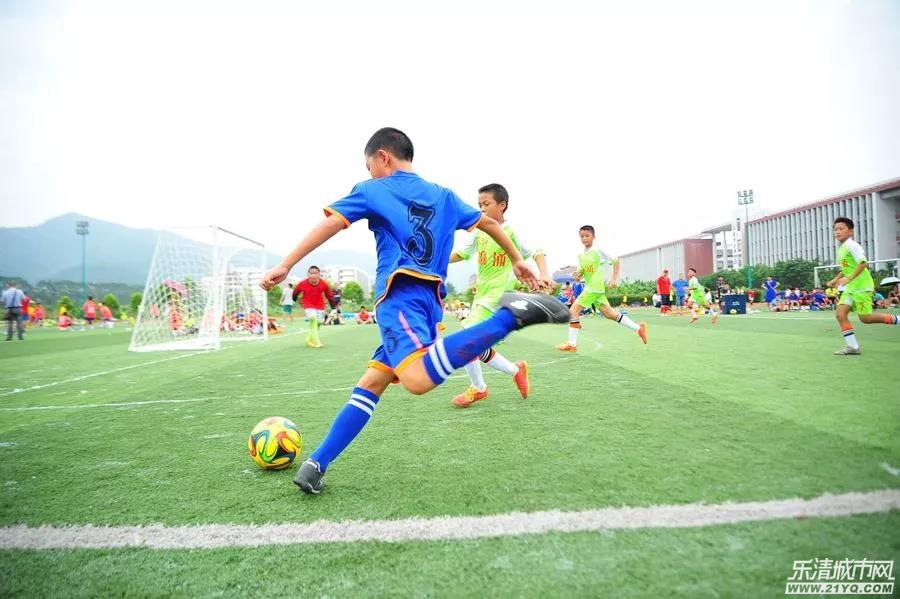 乐清足球学校,乐清体育学校排名