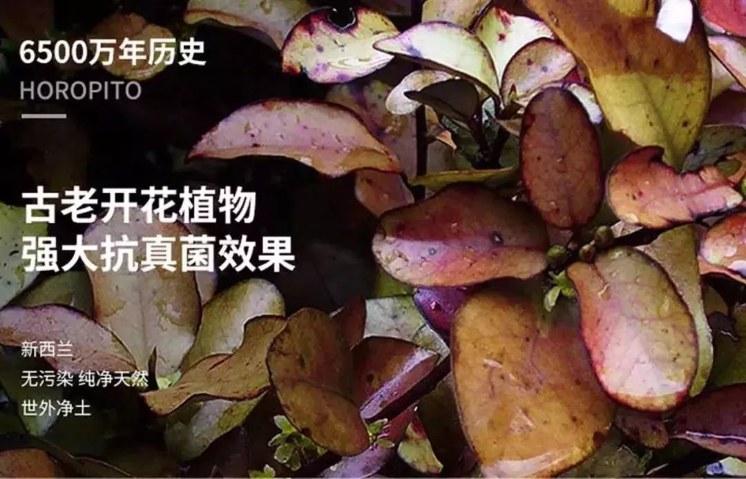 “男朋友的脚堪比生化*器武**！我得治治他！”