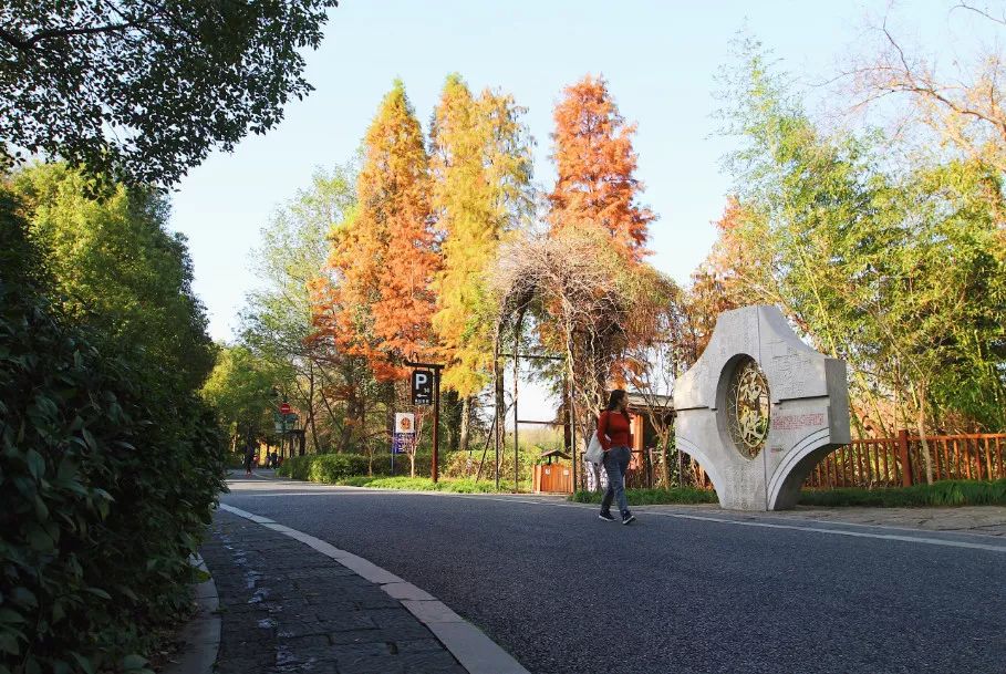 西溪湿地免费区域从哪儿进,西溪湿地免费区域地图