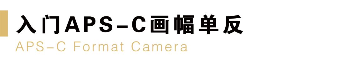 目前买尼康相机什么型号最好,新手买什么尼康单反相机好