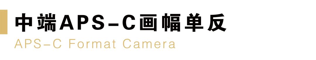 目前买尼康相机什么型号最好,新手买什么尼康单反相机好