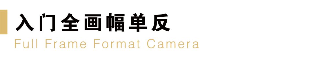 目前买尼康相机什么型号最好,新手买什么尼康单反相机好