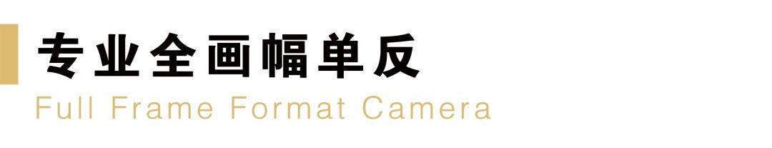 目前买尼康相机什么型号最好,新手买什么尼康单反相机好