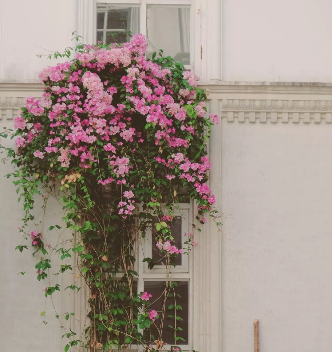 南京最正规的瑜伽学院,瑜伽学院十大排名