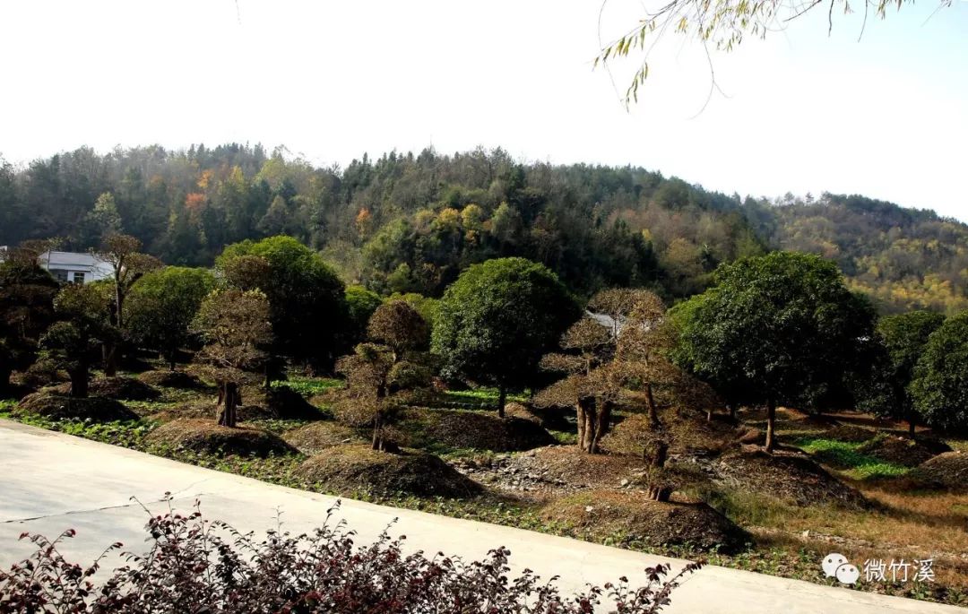 竹溪大石门，一个有故事的地方！