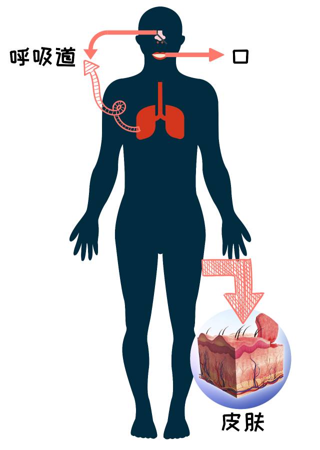 妥善存放和正确使用农药等有毒物品,谨防儿童接触