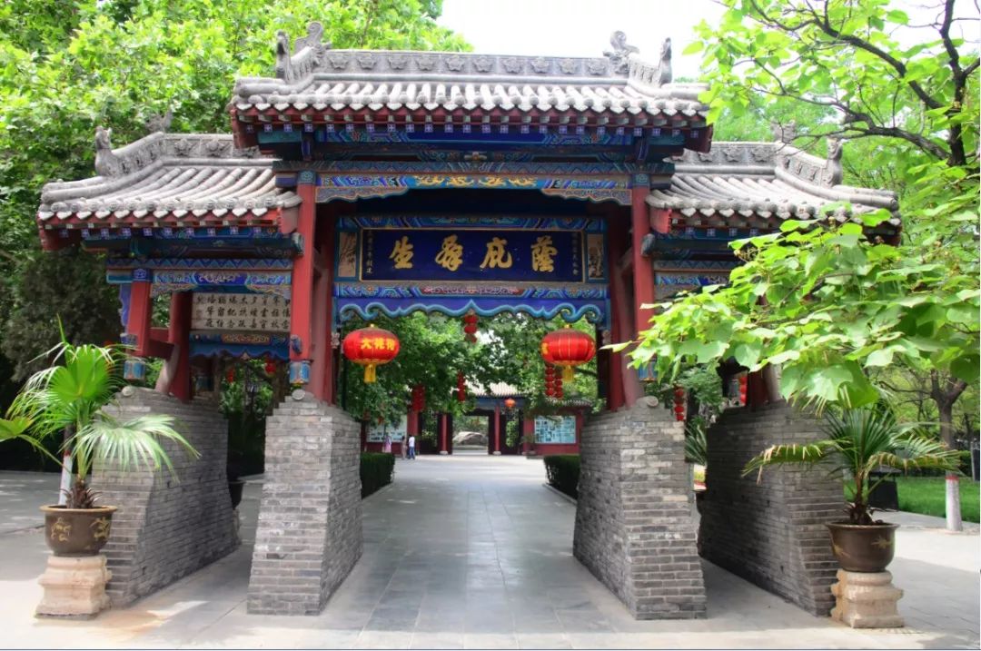 别文盲了，这些字在这儿可不是错别字！