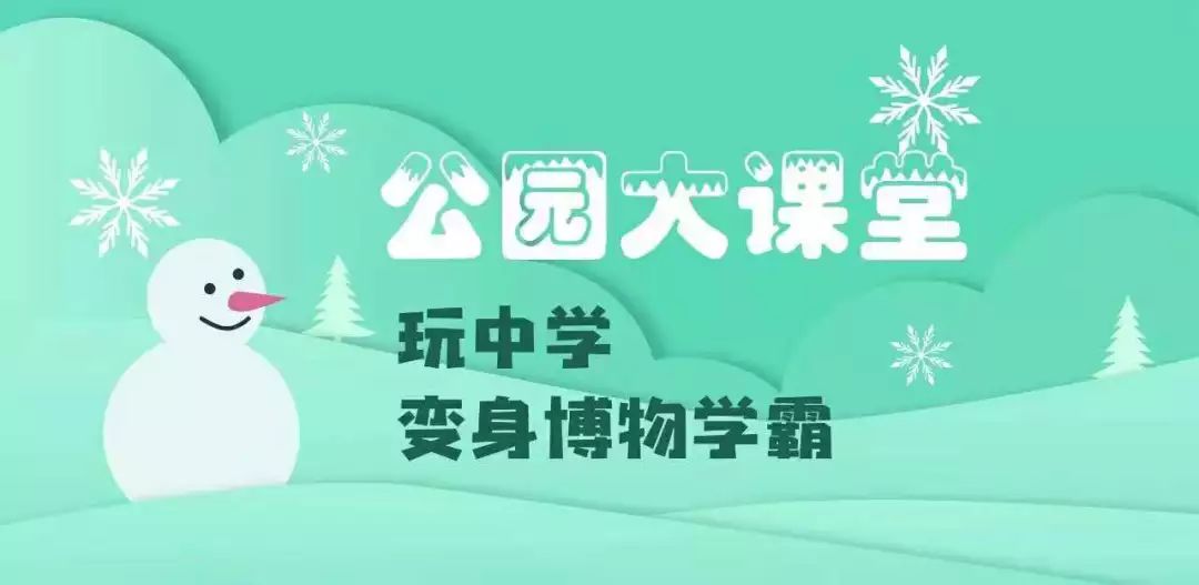 无患子做的香皂可以洗脸吗,做香皂不用皂基怎么做
