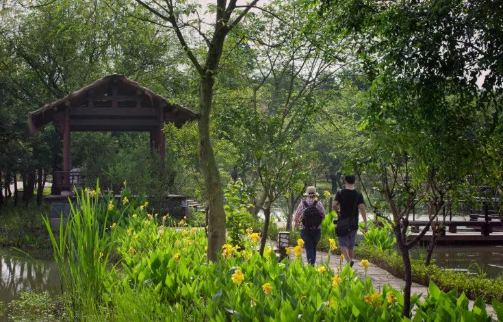 西溪湿地免费区域从哪儿进,西溪湿地免费区域地图