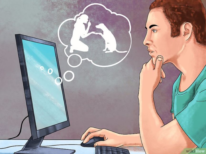 看猫咪如何对狗狗大打出手,猫狗大战猫咪