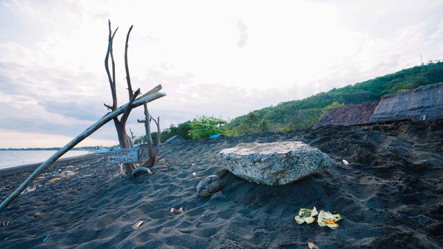 巴厘岛千庙之岛,千岛之国巴厘岛旅游