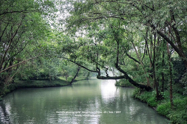 原生态风貌的西溪湿地公园