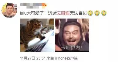 硕士论文研究“云吸猫”引争议｜《论装逼》《八角茴香对卤鸡爪的影响》《网络对话中呵呵的功能研究》表示不服