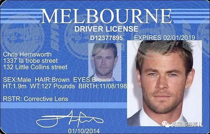 性感锤哥在线出轨？单纯的俄罗斯大姐就这么被骗了100万卢布