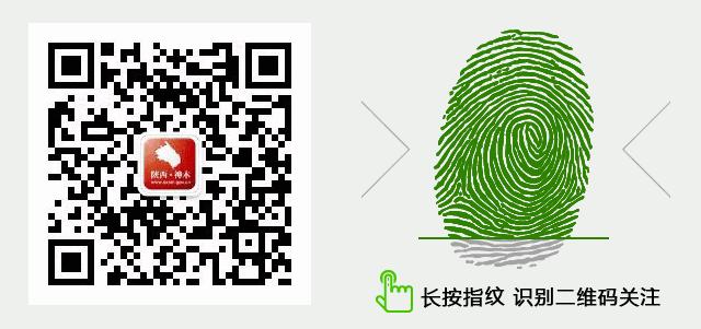 【厉害】神木黑豆“靓装”走向全国!