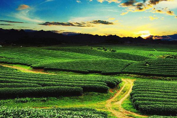 越南签证怎么办理和出国流程,越南签证如何办理流程