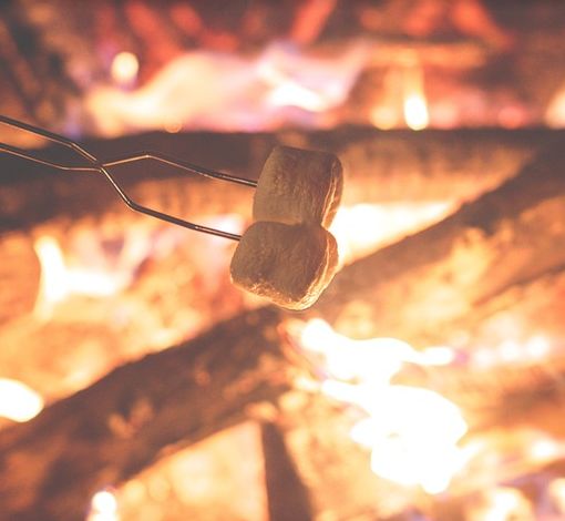 玩遍大连丨零距离接触大自然一定是很多人的选择，一起去普兰店看看吧。