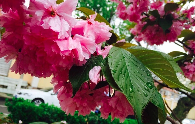 孟浩然的最美的十首诗,孟浩然最美一首诗