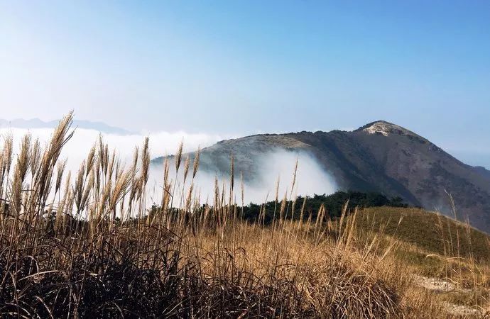 西溪湿地免费区域从哪儿进,西溪湿地免费区域地图