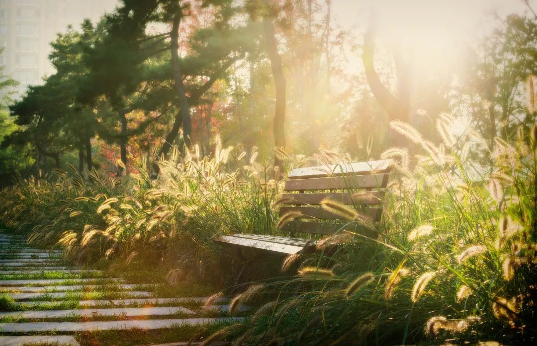 世界诱惑太多谁能坚持初心,晨读是最有价值的自律