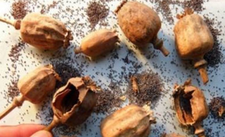 禁毒真实案例吸毒者自述,禁毒知识有吸毒史对今后的影响