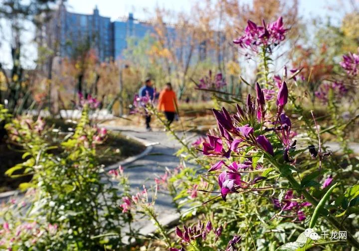 儿童沙滩公园游玩,沙滩儿童乐园免费