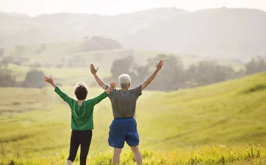 肾病初期吃什么药养肾,得了肾病怎么吃更护肾