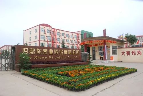 好想你每日缤纷枣单粒装850g价格,好想你枣业营销案例