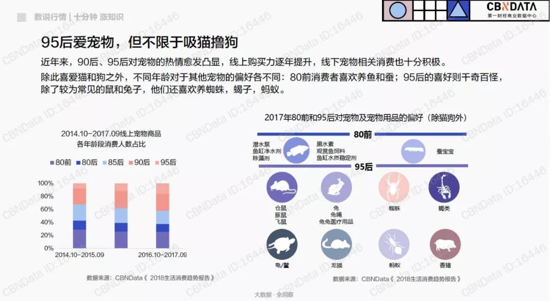 95后撸猫的经济效应