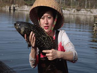 渔家女揭露海鲜市场黑幕,渔家女直播回放
