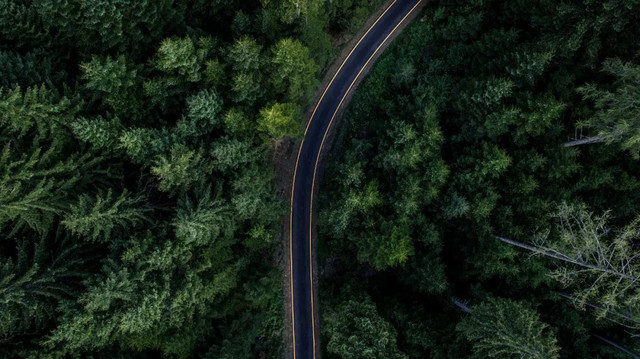 十一不能出去看风景,十一出去看世界