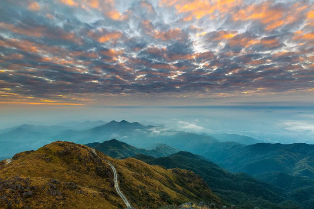 十一不能出去看风景,十一出去看世界
