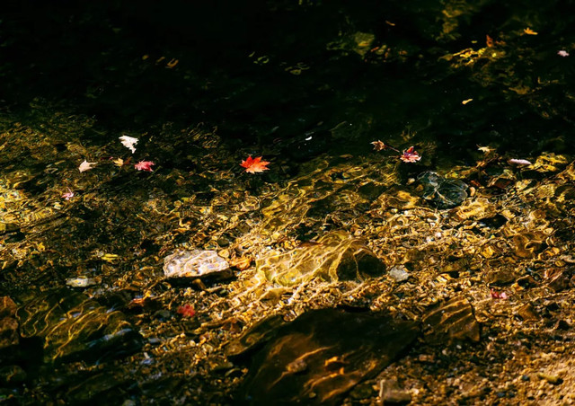 十一不能出去看风景,十一出去看世界