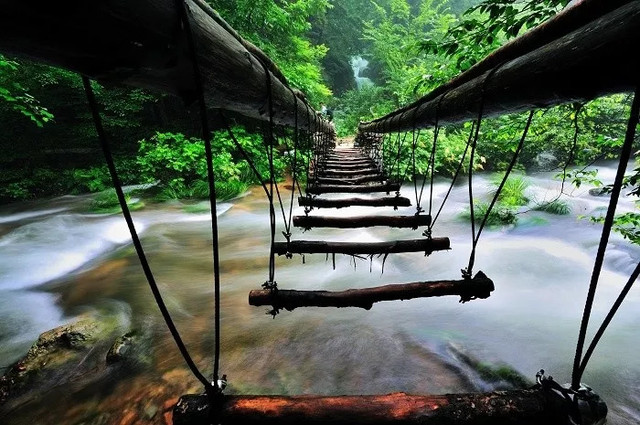 十一不能出去看风景,十一出去看世界