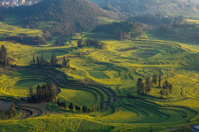 十一不能出去看风景,十一出去看世界