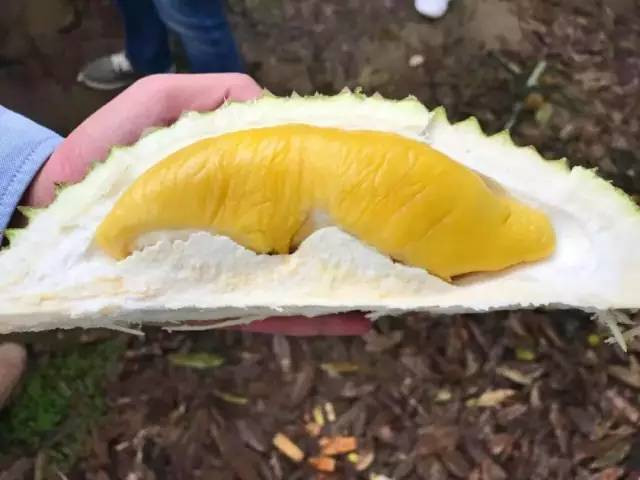 爆浆榴莲香甜可口,广州天河爆浆榴莲