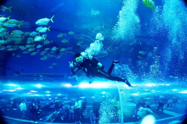 四川居然有一片蓝色海洋,成都蓝色海洋