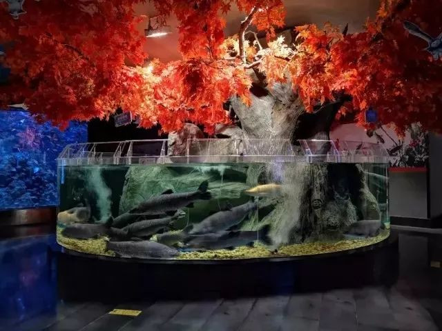 四川居然有一片蓝色海洋,成都蓝色海洋