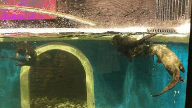 四川居然有一片蓝色海洋,成都蓝色海洋