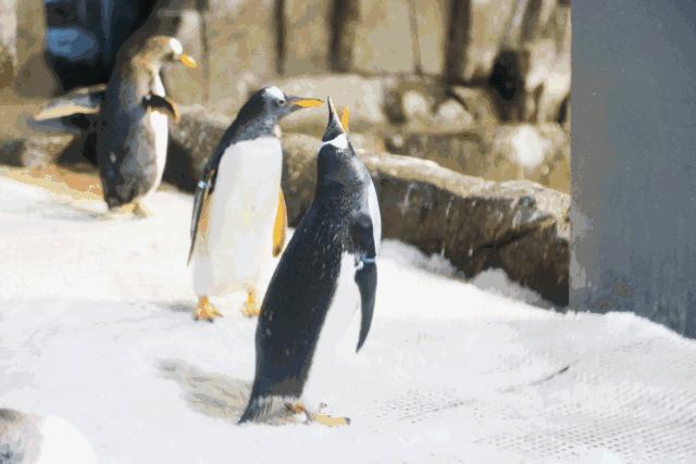 四川居然有一片蓝色海洋,成都蓝色海洋