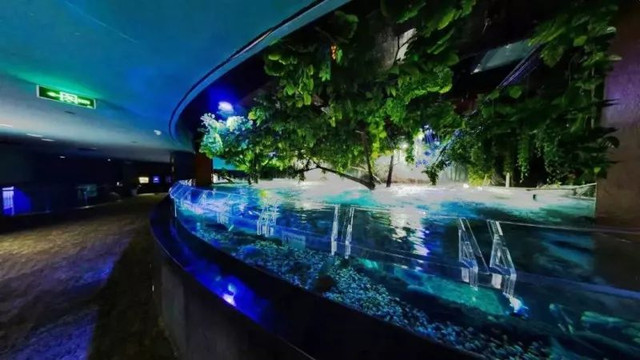 四川居然有一片蓝色海洋,成都蓝色海洋