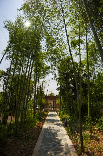 推荐5家性价比超高的民宿,最性价比新兴民宿推荐