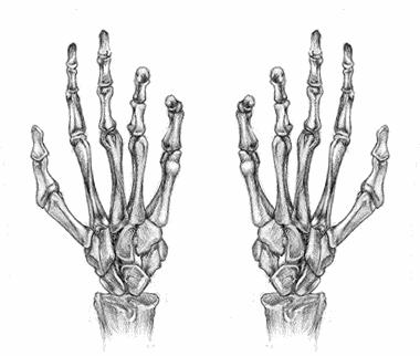 严厉打击毒品犯罪以案释法入人心,肇庆打击涉毒案