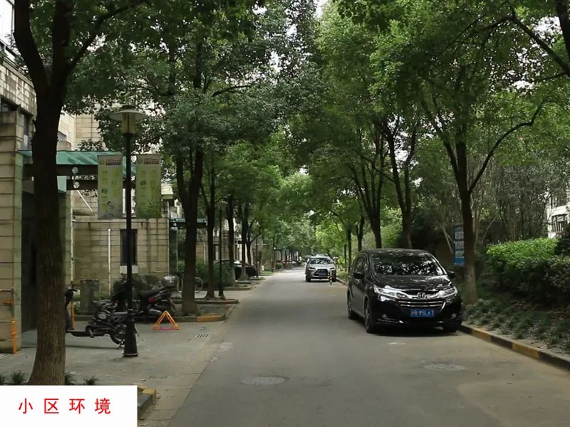 上海金山司法拍卖房产新政策,金山区拍卖房