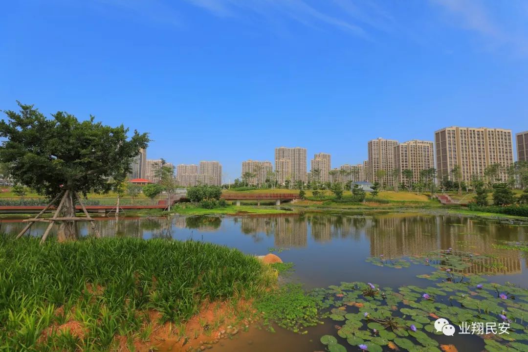 厦门翔安附近免费的湿地公园,翔安这边公园